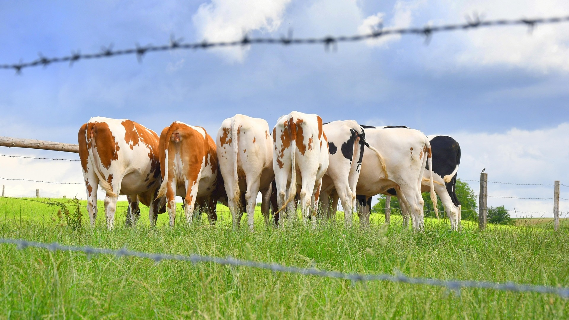 AGRAR Winkler Betriebsberatung Landwirtschaftliche Bürohilfe