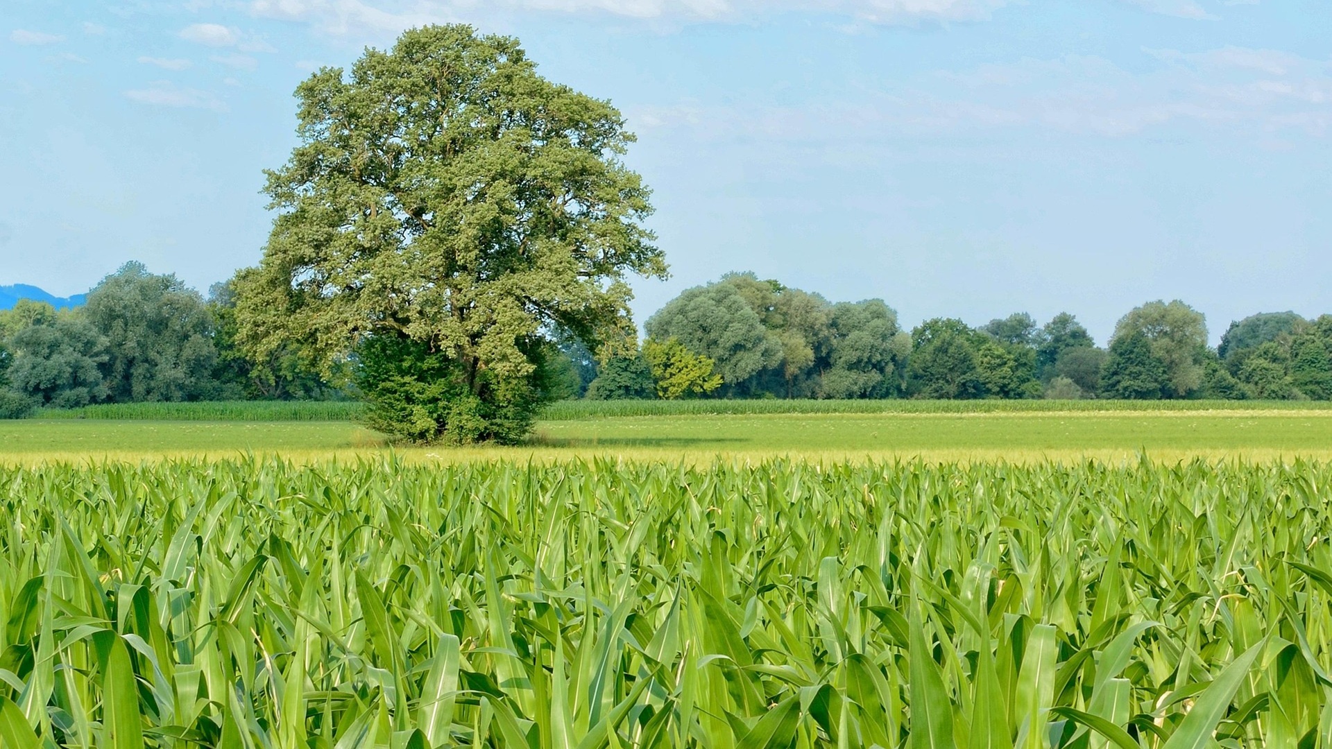 AGRAR Winkler Betriebsberatung Landwirtschaftliche Bürohilfe_3